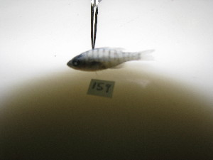  ( - HvdB-10-2010-25)  @12 [ ] Unspecified (default): All Rights Reserved  Unspecified Unspecified