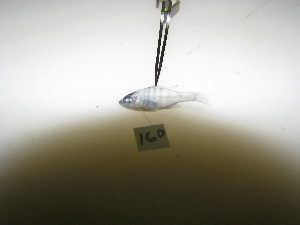  ( - HvdB-10-2010-26)  @12 [ ] Unspecified (default): All Rights Reserved  Unspecified Unspecified