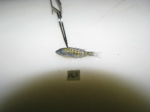  ( - HvdB-10-2010-27)  @12 [ ] Unspecified (default): All Rights Reserved  Unspecified Unspecified