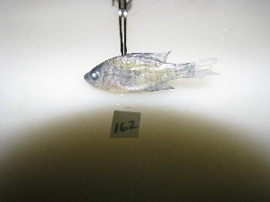  ( - HvdB-10-2010-28)  @12 [ ] Unspecified (default): All Rights Reserved  Unspecified Unspecified