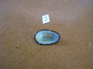  ( - HvdB-11-2010-02)  @13 [ ] Unspecified (default): All Rights Reserved  Unspecified Unspecified