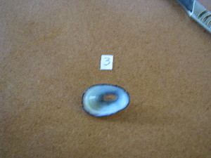  ( - HvdB-11-2010-03)  @12 [ ] Unspecified (default): All Rights Reserved  Unspecified Unspecified