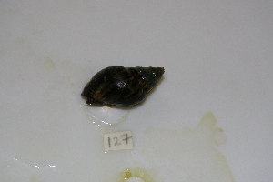  ( - HvdB-10-2010-264)  @13 [ ] Unspecified (default): All Rights Reserved  Unspecified Unspecified