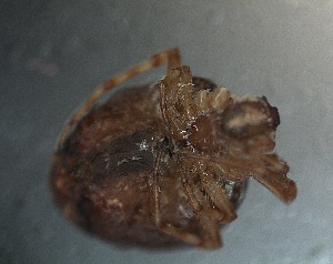  ( - PZNF-0079)  @12 [ ] Unspecified (default): All Rights Reserved  Unspecified Unspecified