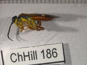  ( - 09Probe-10087)  @13 [ ] CreativeCommons - Attribution Non-Commercial Share-Alike (2010) Joao Lima University of Guelph