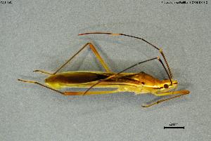  ( - INV14361)  @11 [ ] Creative Commons Attribution NonCommercial ShareAlike (2024) (2024) Research Center in Biodiversity and Genetic Resources Research Center in Biodiversity and Genetic Resources