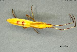  ( - INV14572)  @11 [ ] Creative Commons Attribution NonCommercial ShareAlike (2024) (2024) Research Center in Biodiversity and Genetic Resources Research Center in Biodiversity and Genetic Resources