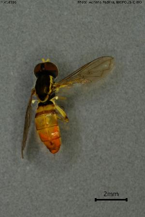  ( - INV18016)  @11 [ ] Creative Commons Attribution NonCommercial ShareAlike (2024) (2024) Research Center in Biodiversity and Genetic Resources Research Center in Biodiversity and Genetic Resources