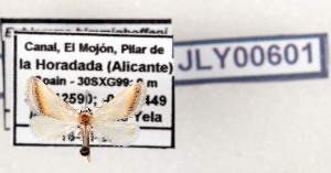  ( - AOCLep03628)  @11 [ ] Copyright (2025) A.S. Ortiz Unspecified