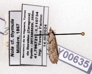  ( - AOCLep03659)  @11 [ ] Copyright (2025) A.S. Ortiz Unspecified