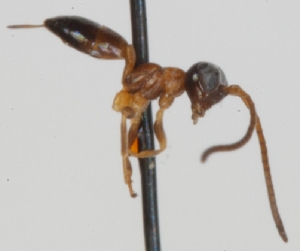  ( - FICH-000526)  @12 [ ] CreativeCommons - Attribution Non-Commercial (2012) Marko Mutanen University of Oulu