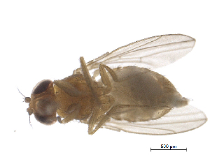  ( - BIORTP-022-E02)  @12 [ ] creative commons  non-commercial only (2016) IIBZ IIBZ