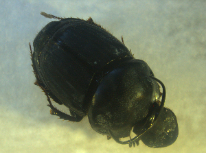 ( - UNEIECOL00048)  @11 [ ] CreativeCommons - Attribution Non-Commercial Share-Alike  Unspecified Unspecified