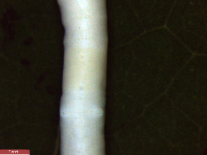  ( - MZ17-696-23A16)  @11 [ ] Unspecified (default): All Rights Reserved (2017) Shweta Yadav Dr H S Gour Vishwavidylaya (Cental University),Sagar 470003 MP,India