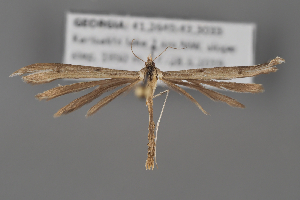  ( - BGE_MZH_LEP_1546)  @11 [ ] CreativeCommons - Attribution Non-Commercial Share-Alike (2025) Leo Vahatalo University of Helsinki