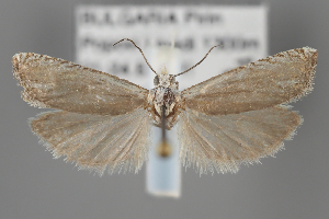  ( - BGE_MZH_LEP_2018)  @11 [ ] CreativeCommons - Attribution Non-Commercial Share-Alike (2025) Leo Vahatalo University of Helsinki