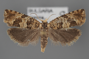  ( - BGE_MZH_LEP_2030)  @11 [ ] CreativeCommons - Attribution Non-Commercial Share-Alike (2025) Leo Vahatalo University of Helsinki