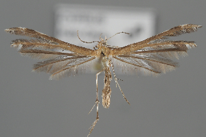  ( - BGE_MZH_LEP_2107)  @11 [ ] CreativeCommons - Attribution Non-Commercial Share-Alike (2025) Leo Vahatalo University of Helsinki