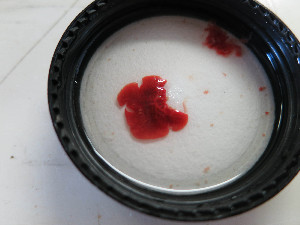  (unclassified Polycladida - I16_162)  @11 [ ] Copyright © (2025) Terue Cristina Kihara German Center for Marine Biodiversity Research