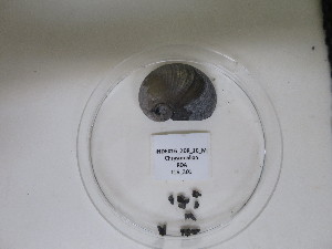  ( - I16_301)  @11 [ ] Copyright © (2025) Terue Cristina Kihara German Center for Marine Biodiversity Research