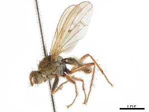  ( - BIOUG47277-E12)  @14 [ ] CreativeCommons - Attribution (2019) CBG Photography Group Centre for Biodiversity Genomics