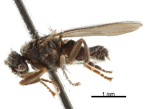  ( - BIOUG47277-H03)  @11 [ ] CreativeCommons - Attribution (2019) CBG Photography Group Centre for Biodiversity Genomics