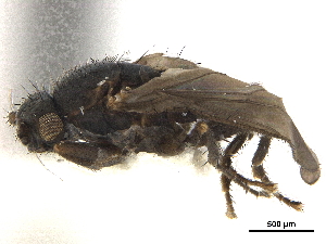  ( - BIOUG47277-H07)  @11 [ ] CreativeCommons - Attribution (2019) CBG Photography Group Centre for Biodiversity Genomics