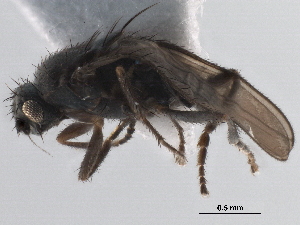  ( - BIOUG47277-H09)  @11 [ ] CreativeCommons - Attribution (2019) CBG Photography Group Centre for Biodiversity Genomics