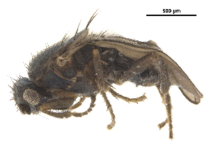  ( - BIOUG47278-B01)  @11 [ ] CreativeCommons - Attribution (2019) CBG Photography Group Centre for Biodiversity Genomics
