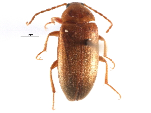  ( - CCDB-28921-G04)  @11 [ ] CreativeCommons - Attribution (2015) CBG Photography Group Centre for Biodiversity Genomics