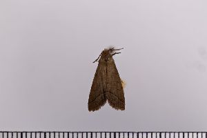  ( - SDNU-INS-00899)  @11 [ ] CreativeCommons - Attribution Non-Commercial Share-Alike (2020) Tengteng Liu Shandong Normal University