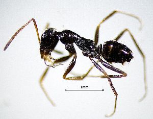  ( - BGE_00625_H03)  @11 [ ] CreativeCommons - Attribution Share - Alike (2102) Unspecified Unspecified