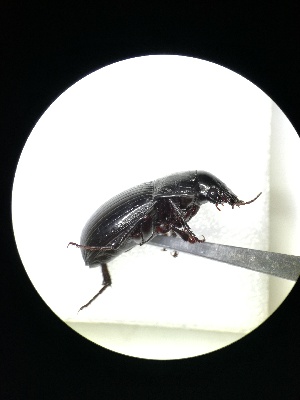  ( - BGE_00634_F07)  @11 [ ] CreativeCommons - Attribution Share - Alike (2025) Unspecified Unspecified