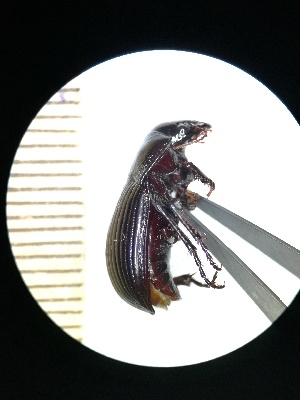  ( - BGE_00634_F08)  @11 [ ] CreativeCommons - Attribution Share - Alike (2025) Unspecified Unspecified