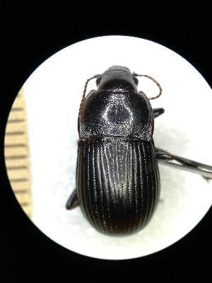  ( - BGE_00634_F08)  @11 [ ] CreativeCommons - Attribution Share - Alike (2025) Unspecified Unspecified