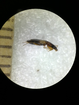  ( - BGE_00639_C06)  @11 [ ] CreativeCommons - Attribution Share - Alike (2025) Unspecified Unspecified