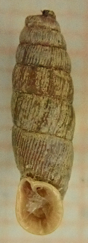  ( - BGE_00641_D07)  @11 [ ] CreativeCommons - Attribution Share - Alike (2025) Unspecified Unspecified