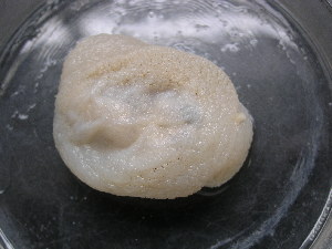  ( - UNMdP-ZINV-206)  @11 [ ] CreativeCommons - Attribution Non-Commercial Share-Alike (2014) Unspecified Laboratorio de Zoología de Invertebrados