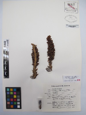  ( - MIRL13-Came-04)  @11 [ ] Copyright (2018) Unspecified Canadian Food Inspection Agency