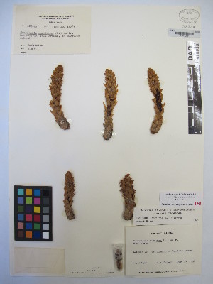  ( - MIRL13-Came-05)  @11 [ ] Copyright (2018) Unspecified Canadian Food Inspection Agency