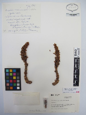  ( - MIRL13-Came-06)  @11 [ ] Copyright (2018) Unspecified Canadian Food Inspection Agency