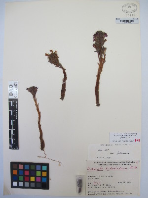  ( - MIRL13-Olud-07)  @11 [ ] Copyright (2018) Unspecified Canadian Food Inspection Agency