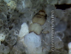  ( - IQCAD-0120)  @12 [ ] Unspecified (default): All Rights Reserved  Unspecified Unspecified