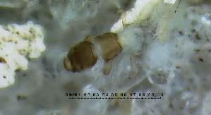  ( - IQCAD-0129)  @12 [ ] Unspecified (default): All Rights Reserved  Unspecified Unspecified