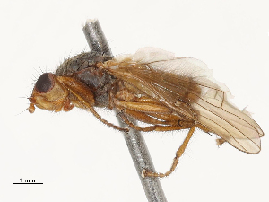  ( - CBG-A69635-B06)  @11 [ ] CreativeCommons - Attribution Share - Alike (2025) CBG Photography Group Centre for Biodiversity Genomics