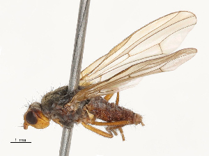  ( - CBG-A69635-B07)  @11 [ ] CreativeCommons - Attribution Share - Alike (2025) CBG Photography Group Centre for Biodiversity Genomics