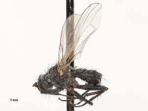  ( - CBG-A69635-B12)  @11 [ ] CreativeCommons - Attribution Share - Alike (2025) CBG Photography Group Centre for Biodiversity Genomics