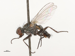  ( - CBG-A69635-C01)  @11 [ ] CreativeCommons - Attribution Share - Alike (2025) CBG Photography Group Centre for Biodiversity Genomics