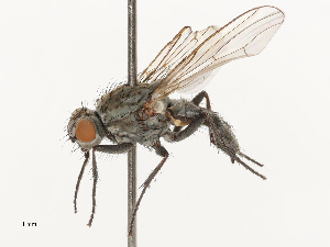  ( - CBG-A69635-C02)  @11 [ ] CreativeCommons - Attribution Share - Alike (2025) CBG Photography Group Centre for Biodiversity Genomics