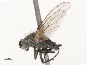  ( - CBG-A69635-C03)  @11 [ ] CreativeCommons - Attribution Share - Alike (2025) CBG Photography Group Centre for Biodiversity Genomics